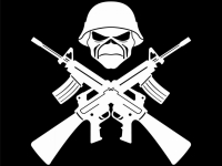 amatteroflifeanddeath047-ironmaideneddie.com