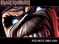 danceofdeath063-ironmaideneddie.com