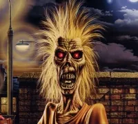 ironmaiden039-ironmaideneddie.com