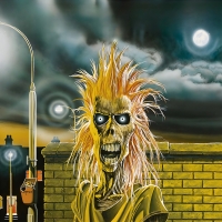 ironmaiden055-ironmaideneddie.com