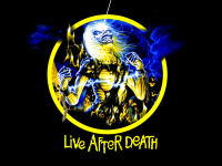 powerslave039-ironmaideneddie.com