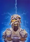 powerslave069-ironmaideneddie.com