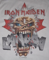 seventhsonofaseventhson140-ironmaideneddie.com