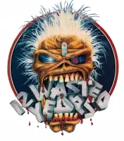 seventhsonofaseventhson188-ironmaideneddie.com