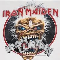 seventhsonofaseventhson232-ironmaideneddie.com