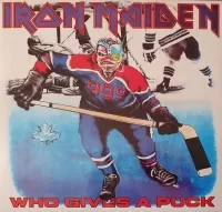 somewhereintime107-ironmaideneddie.com