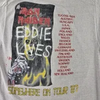 somewhereintime110-ironmaideneddie.com