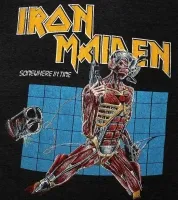 somewhereintime113-ironmaideneddie.com
