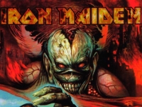 virtualxi041-ironmaideneddie.com