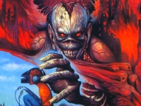 virtualxi045-ironmaideneddie.com